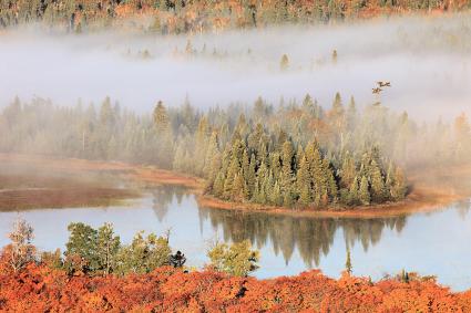 Foggy Fall Morning by Travis Novitsky